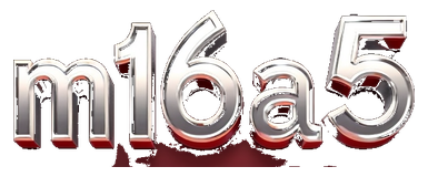 m16a5 logo